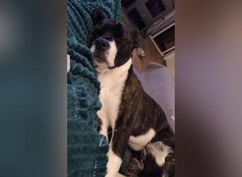 Paul sucht Endstelle