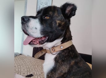 Paul sucht Endstelle