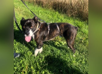 Paul sucht Endstelle