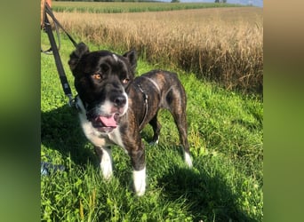 Paul sucht Endstelle