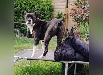 Paul sucht Endstelle