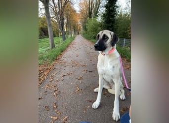 Luna Maus sucht ein herzliches Zuhause