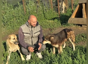 NABILIA ♥  - Gerettet aus der Tötung von Moreni