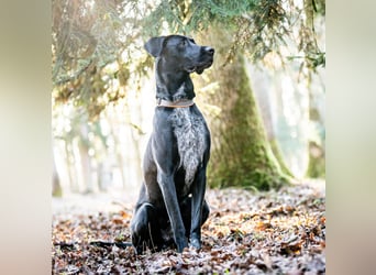 Kaja - ist lernwillig&verspielt