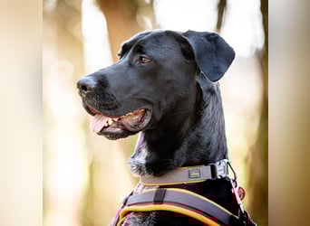 Kaja - ist lernwillig&verspielt