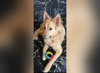 Bertha sucht ihr Für -immer -Zuhause ❤️❤️❤️