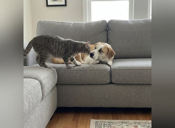 Jessie sucht ein aktives Leben