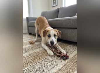 Jessie sucht ein aktives Leben