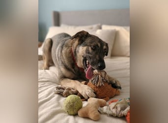 Verzaubert Lori dich mit ihren augen ?!