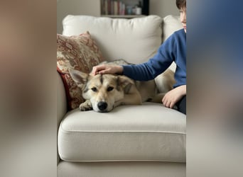 Lada sucht ihre Familie