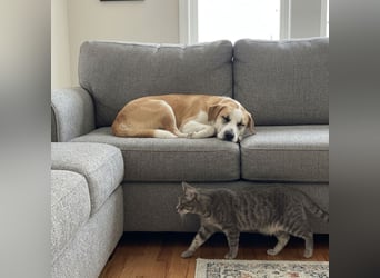 Jessie sucht ein aktives Leben