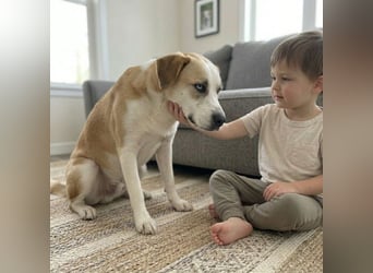 Jessie sucht ein aktives Leben