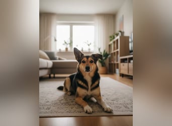 Elis ist schüchtern aber sie hat so viel Liebe zu geben....