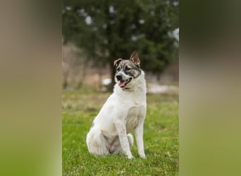 Julia will liebe und Geborgenheit