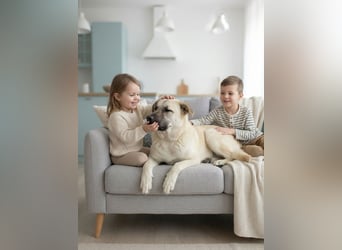 Gibst du Snezha einen warmen Platz?!