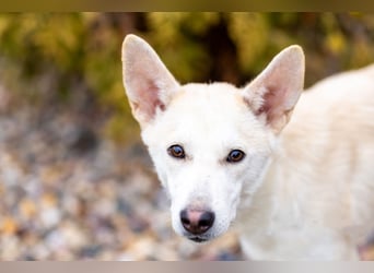 Wer nimmt Mickey in sein Leben..?!