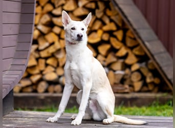 Wer nimmt Mickey in sein Leben..?!