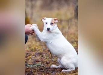 Aufgeschlossener Lord sucht aufgeschlossene Menschen