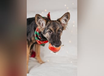 Verzaubert dich die kleine Lisa ?!