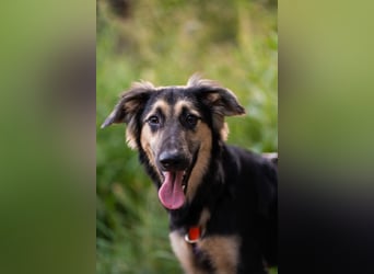 Der mutige Philip sucht seine Menschen