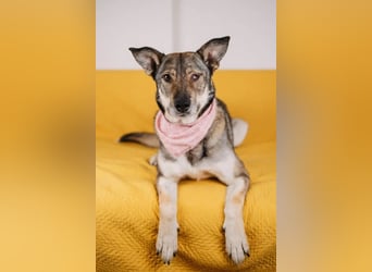 Wundervolle Dana sucht Endstelle