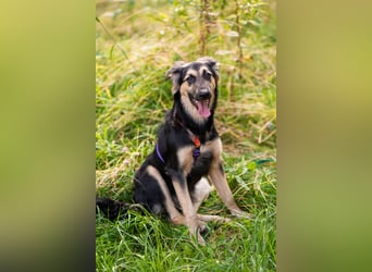 Der mutige Philip sucht seine Menschen