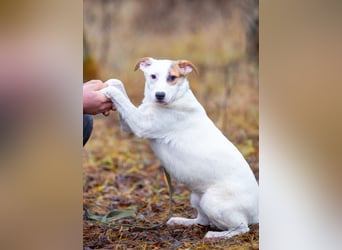 Aufgeschlossener Lord sucht aufgeschlossene Menschen