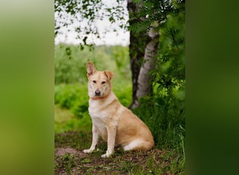 Ausgewogene Mona sucht Familie