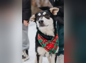 Süße Mia wartet auf ihre Menschen