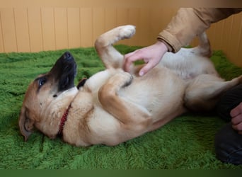 Junge hübsche Leia sucht Familie