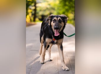 Der mutige Philip sucht seine Menschen