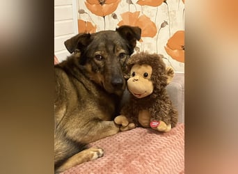 Marquise sucht liebevolle Menschen