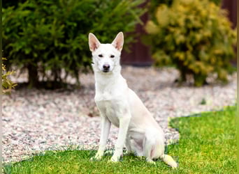 Wer nimmt Mickey in sein Leben..?!