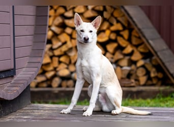 Wer nimmt Mickey in sein Leben..?!