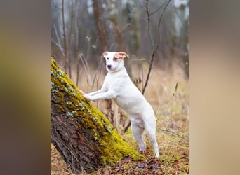 Aufgeschlossener Lord sucht aufgeschlossene Menschen
