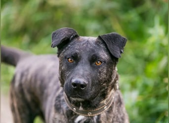 Menschenbezogener Chicago will geliebt werden