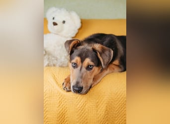 Zauberhafte Rocky verzaubert alle