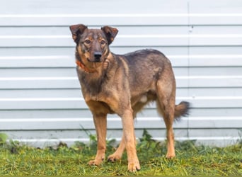 Marquise sucht liebevolle Menschen