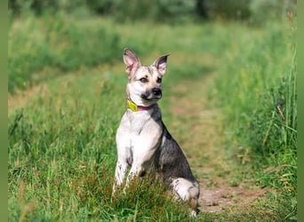 Mika sucht liebevolle Menschen