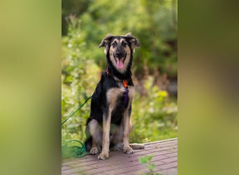 Der mutige Philip sucht seine Menschen