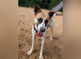 Marta hat noch so viel Lebensfreude