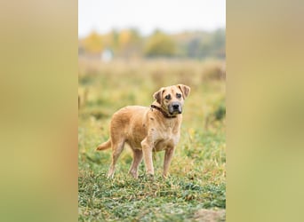 Blind und Taub sucht Pryanik seine Familie