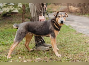 Zauberhafte Rocky verzaubert alle