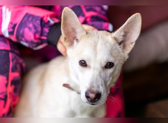 Wer nimmt Mickey in sein Leben..?!