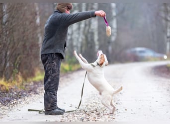 Aufgeschlossener Lord sucht aufgeschlossene Menschen