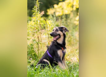 Der mutige Philip sucht seine Menschen