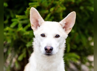 Wer nimmt Mickey in sein Leben..?!