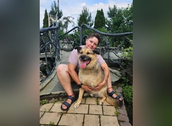 Mukhtar auf drei beinen durchs leben