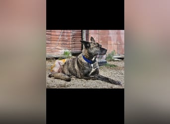 Maya trotz Handicap voller Lebensfreude