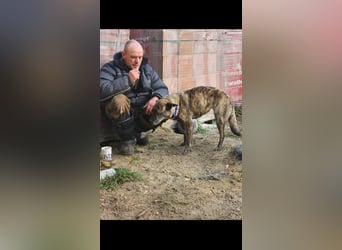 Maya trotz Handicap voller Lebensfreude